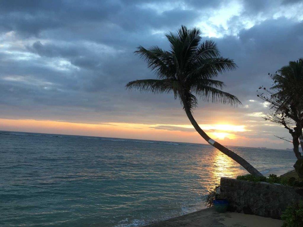 Wong-Beach-9