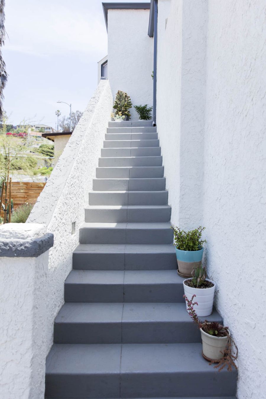 aaliano_LANSDOWNE_01