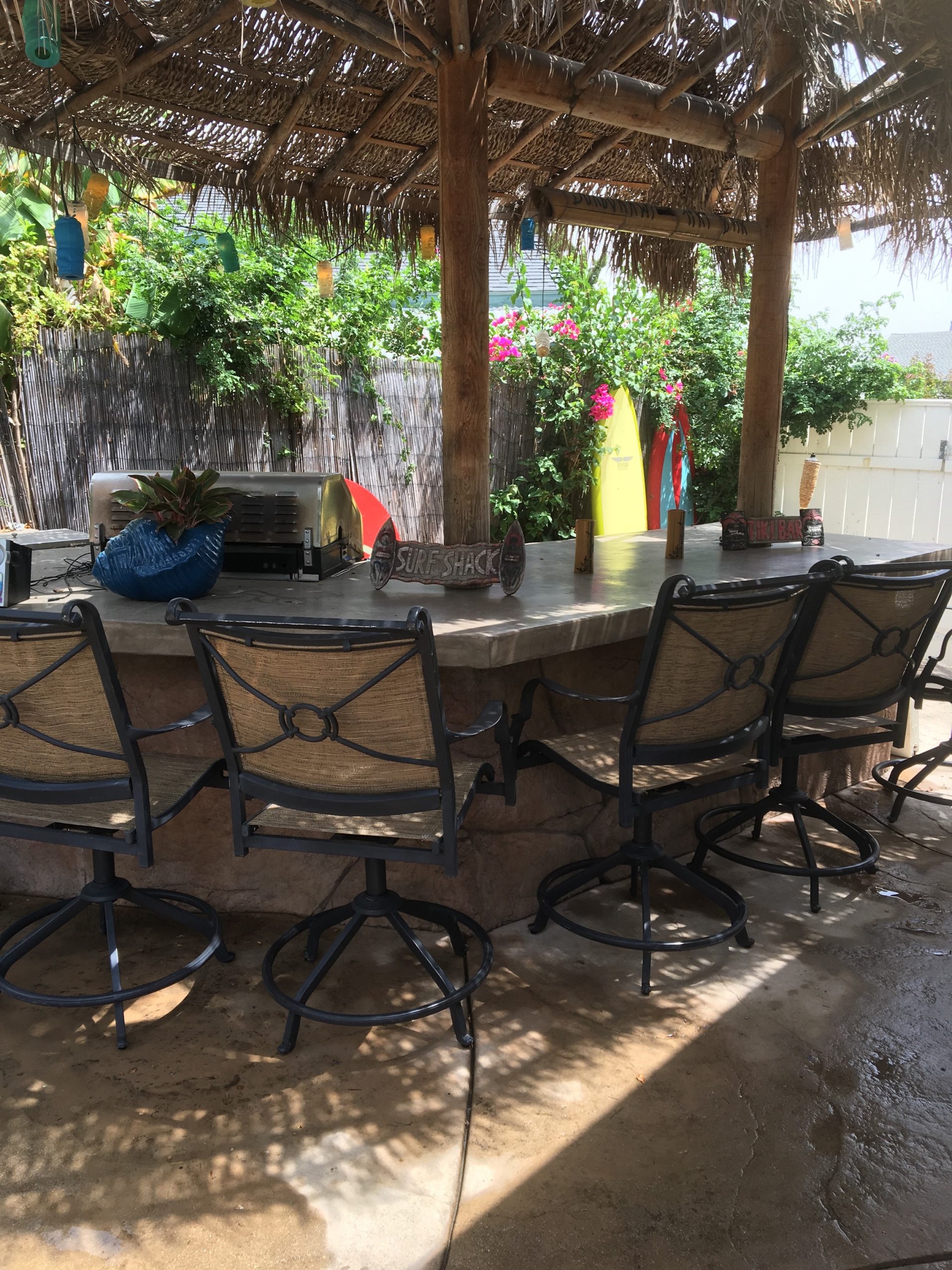 backyard1