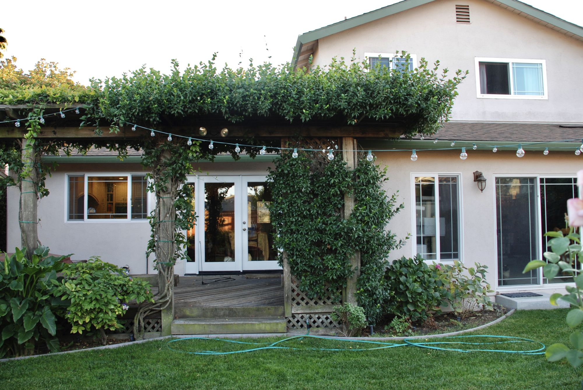 backyard1