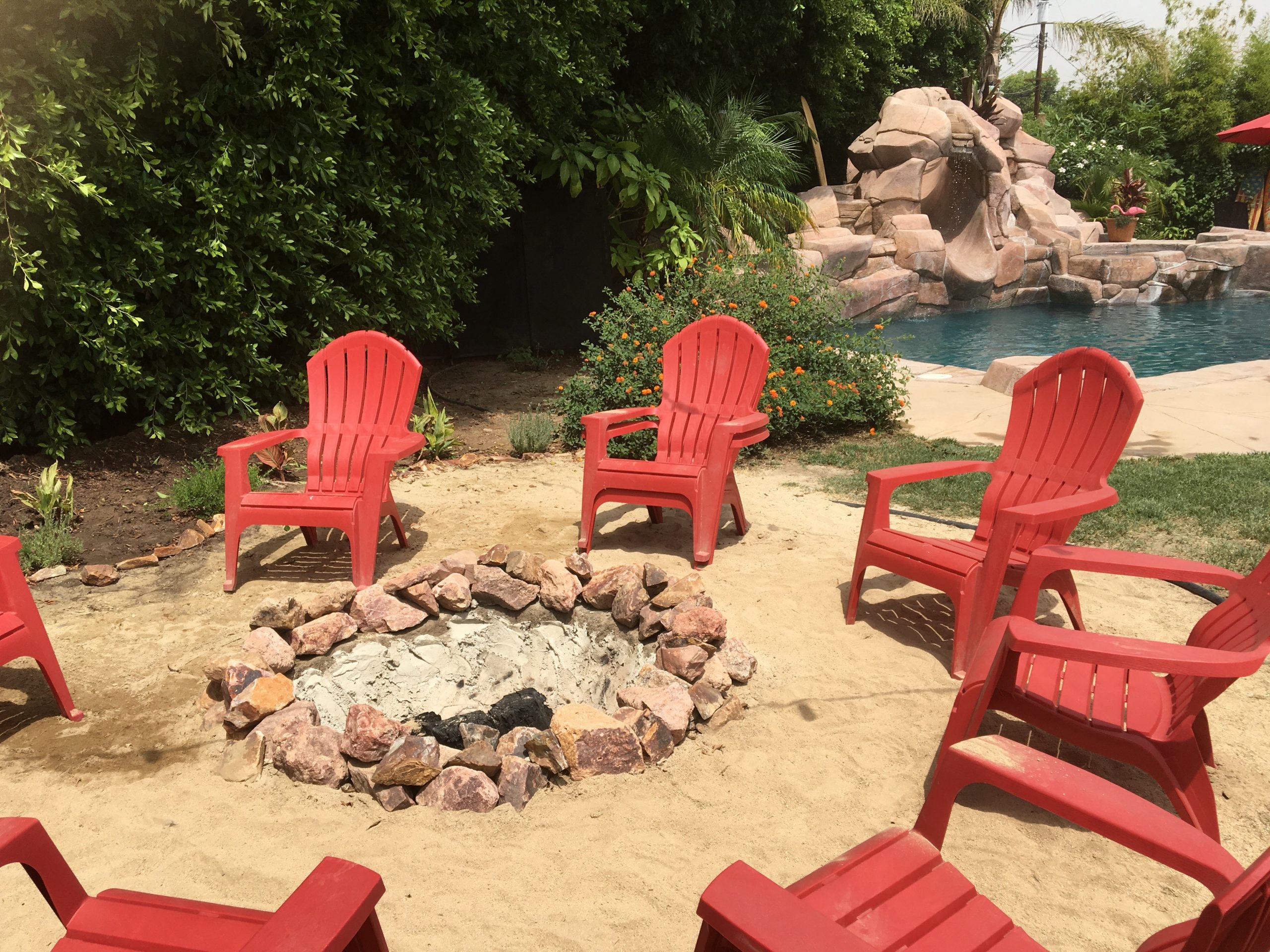 backyard2