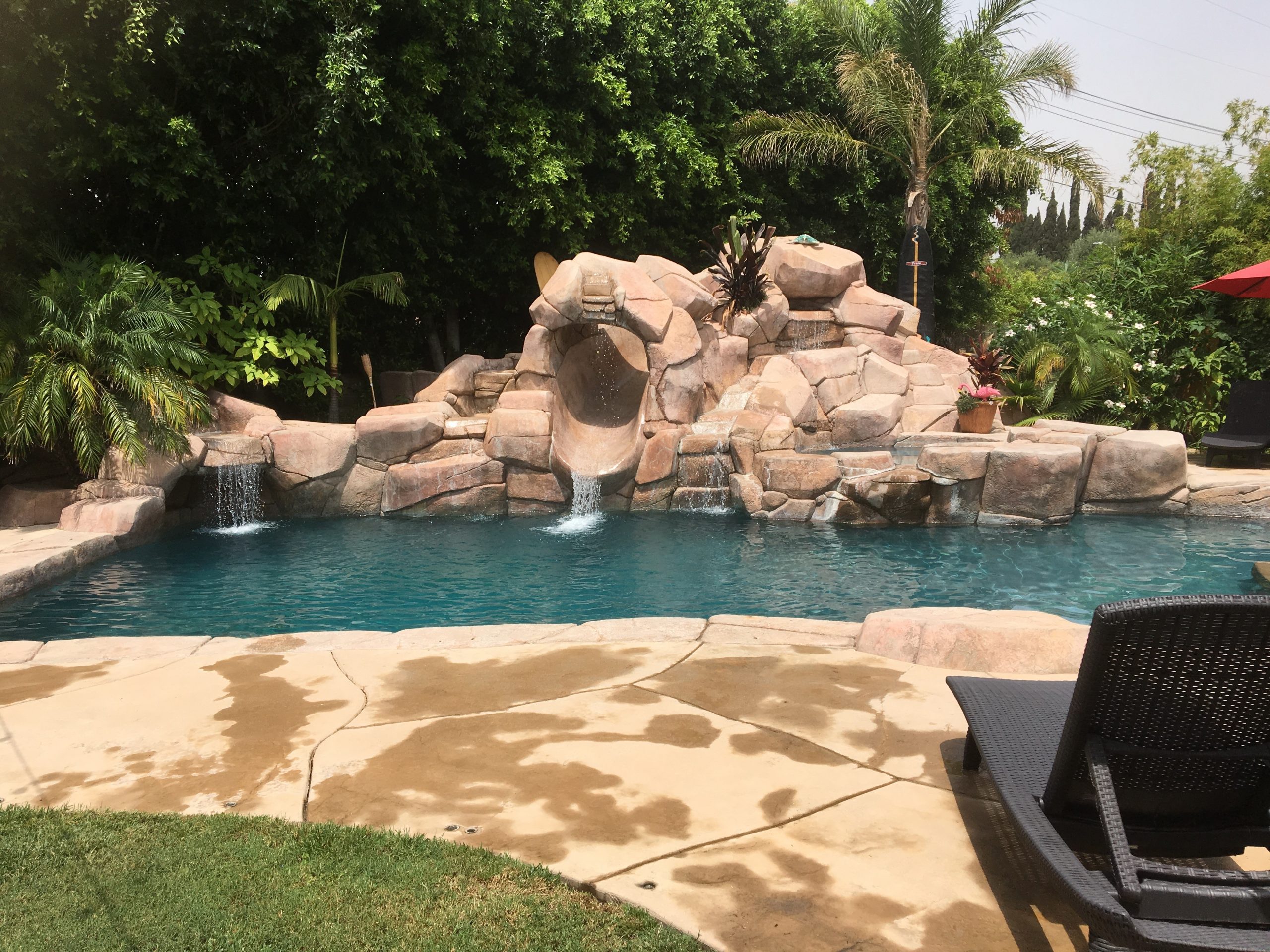 backyard3