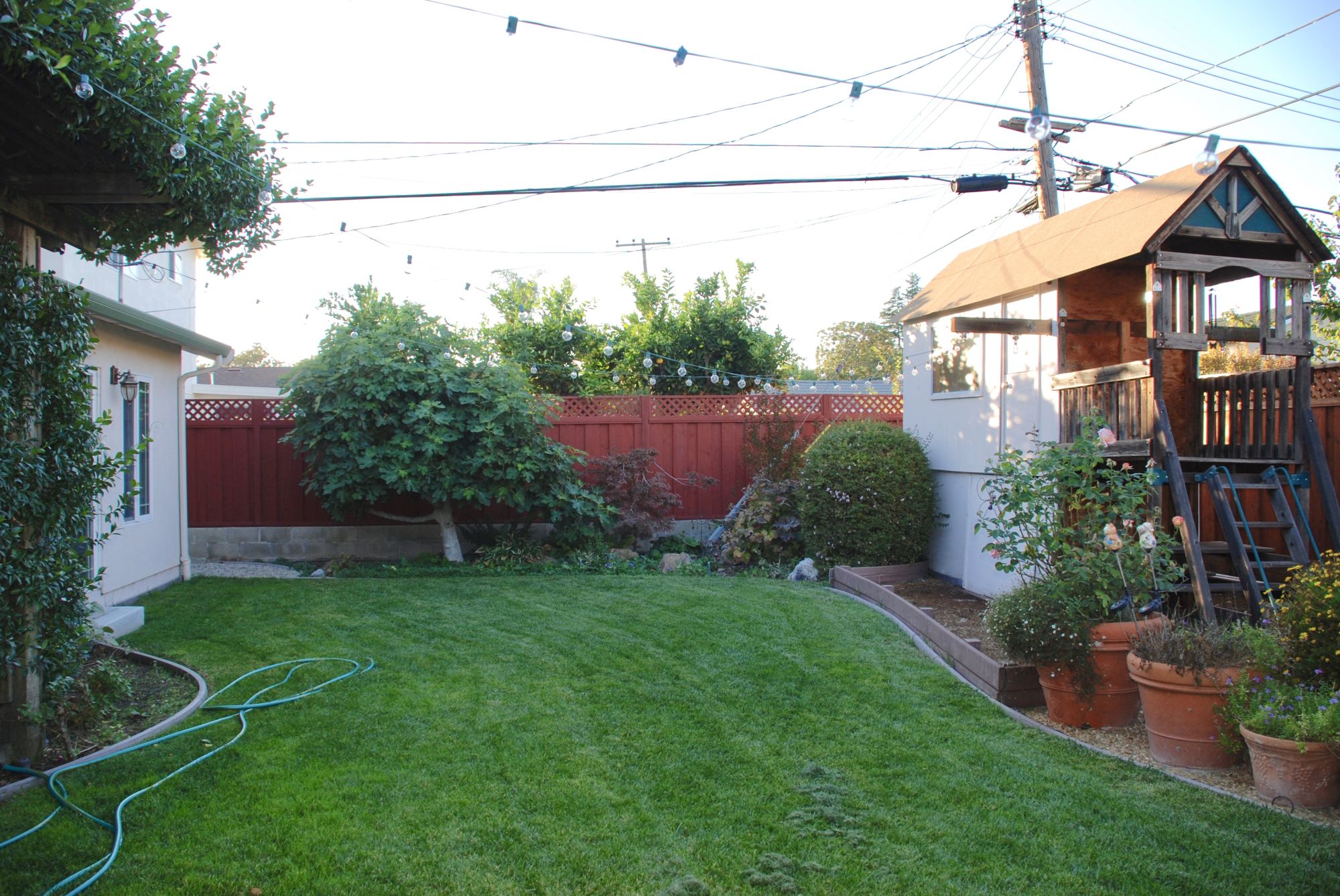 backyard3