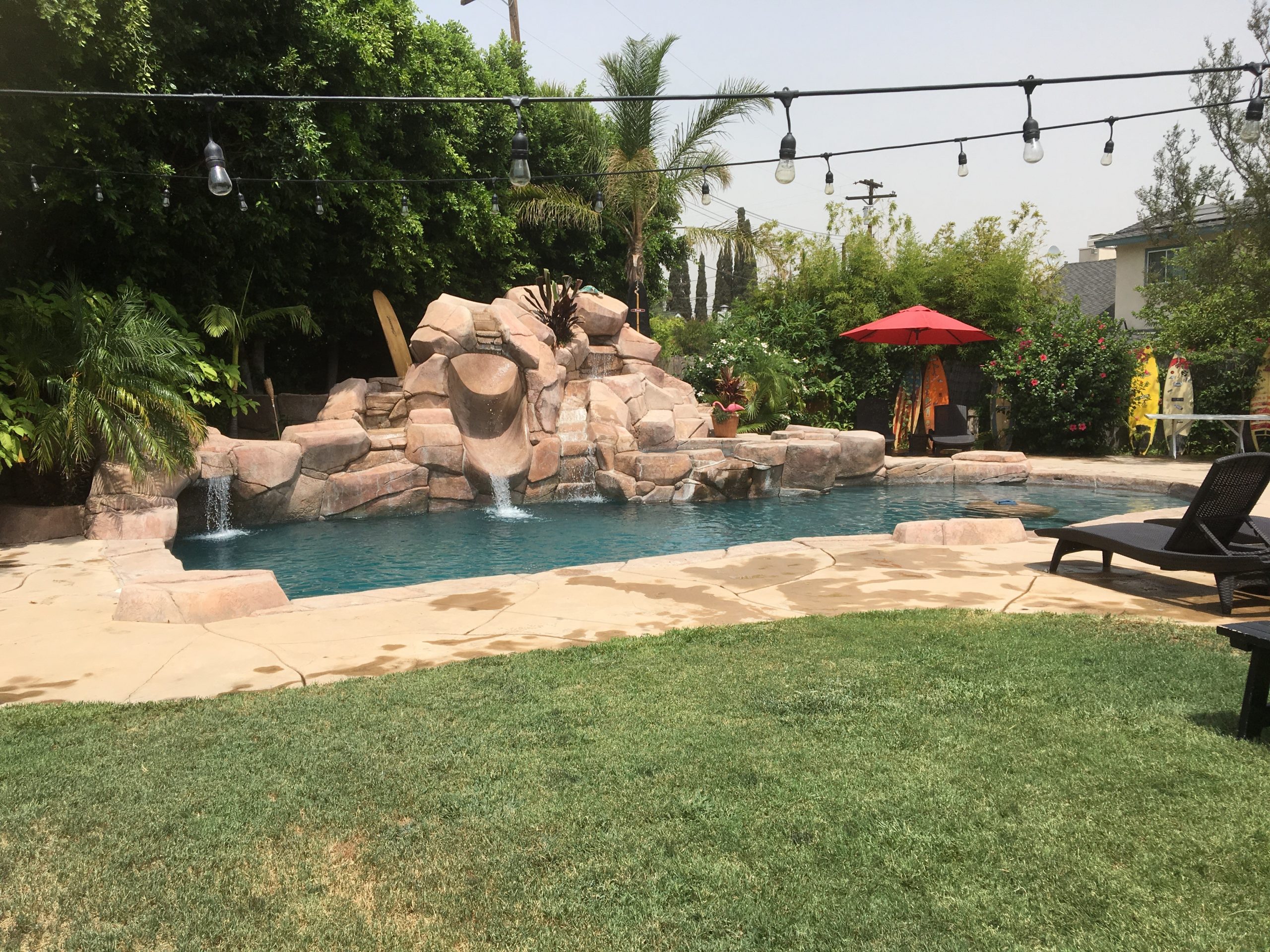 backyard4