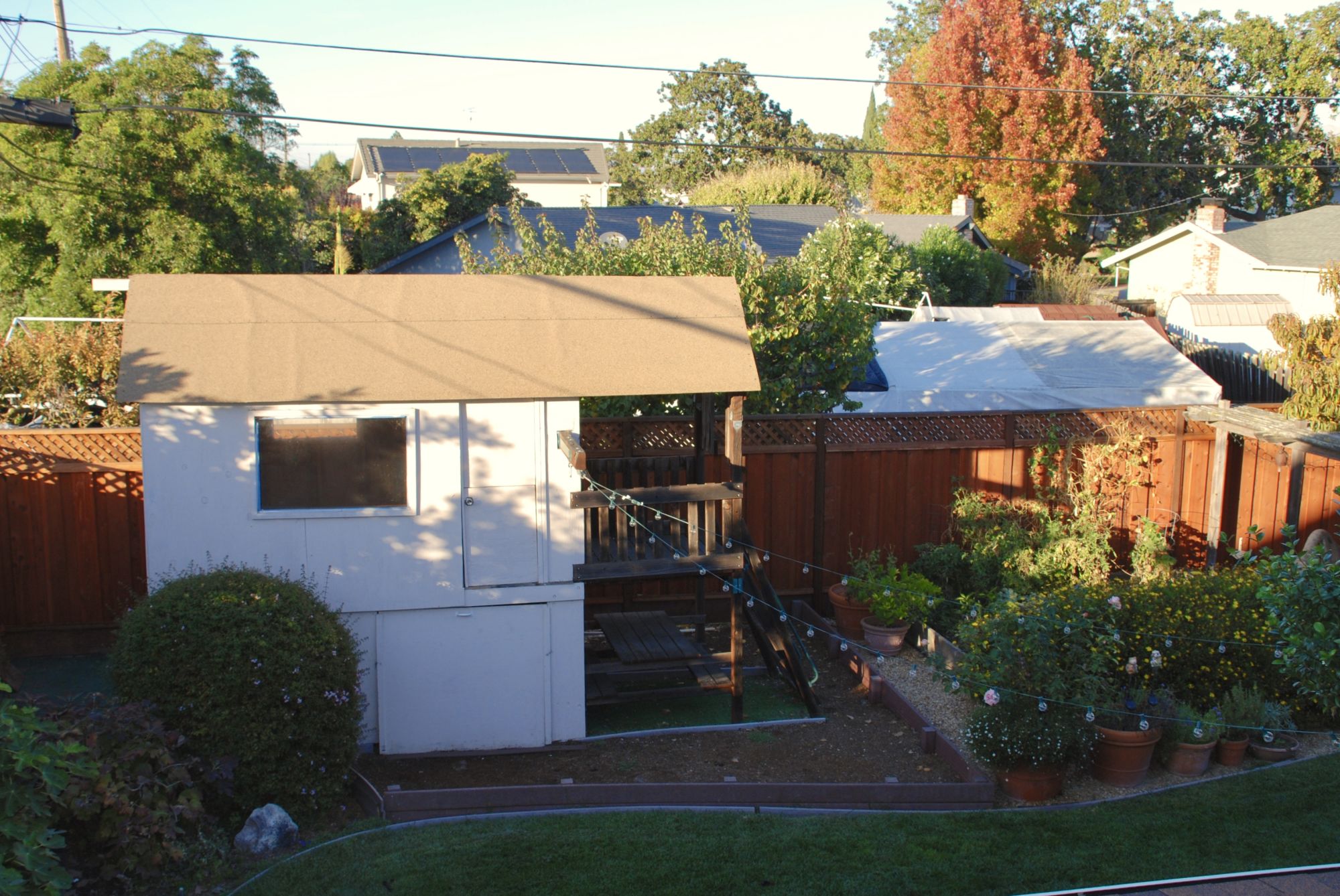 backyard4