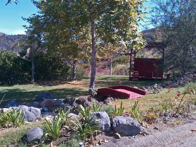 front-yard1