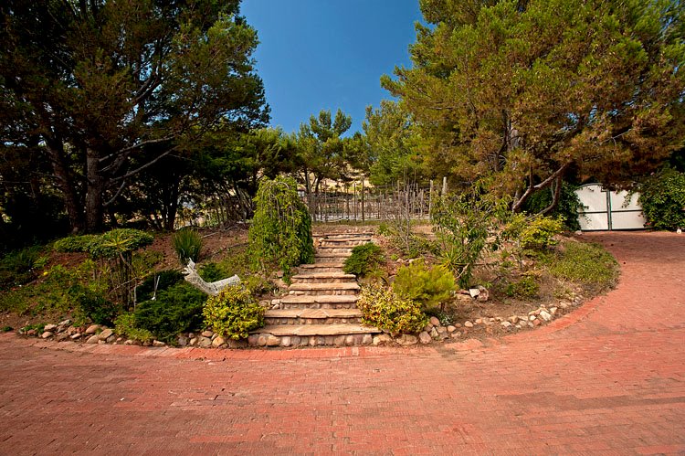 garden