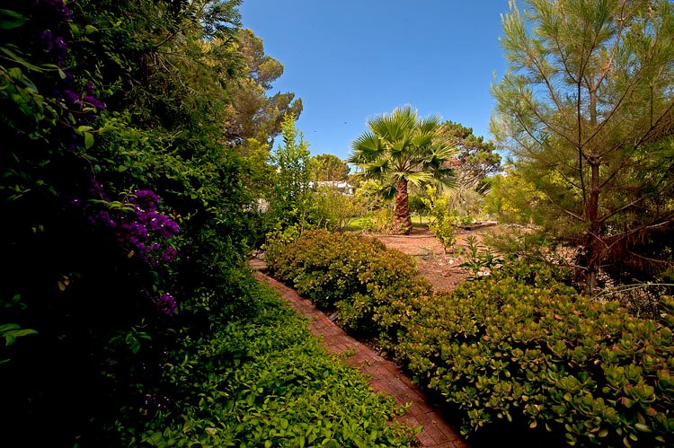 garden2