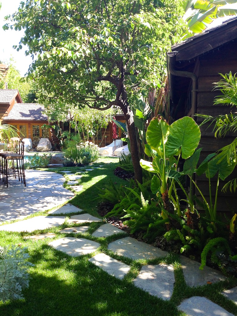 photo1