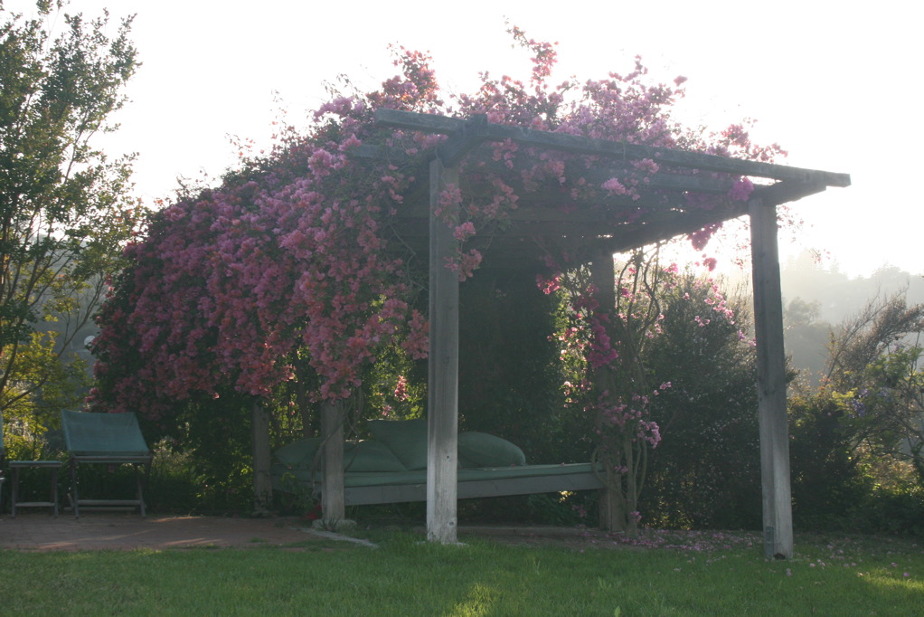 yard-2
