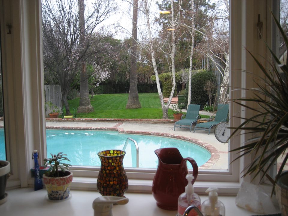 yard-from-window