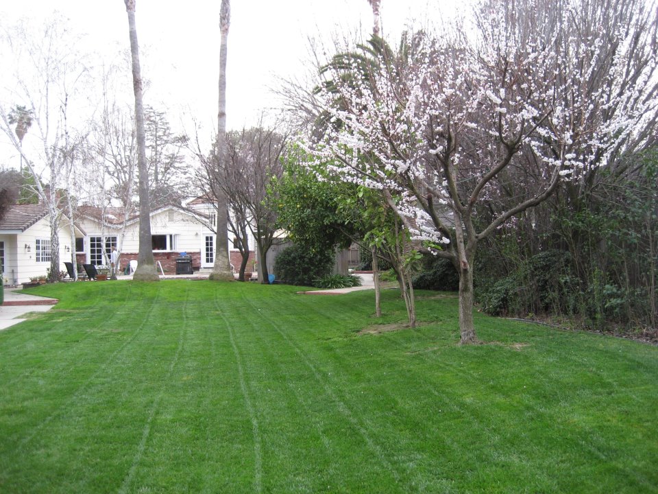 yard1