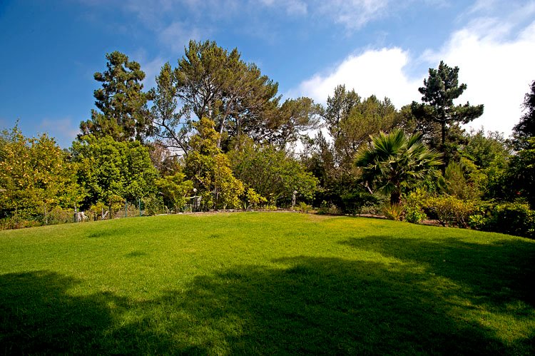 yard5