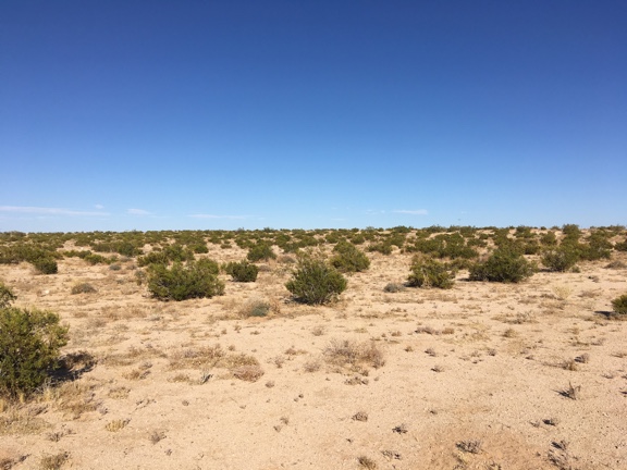 Daisy-Lane-LOOKING-EAST