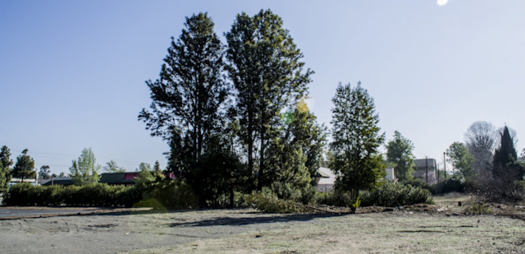 31000-84-of-94