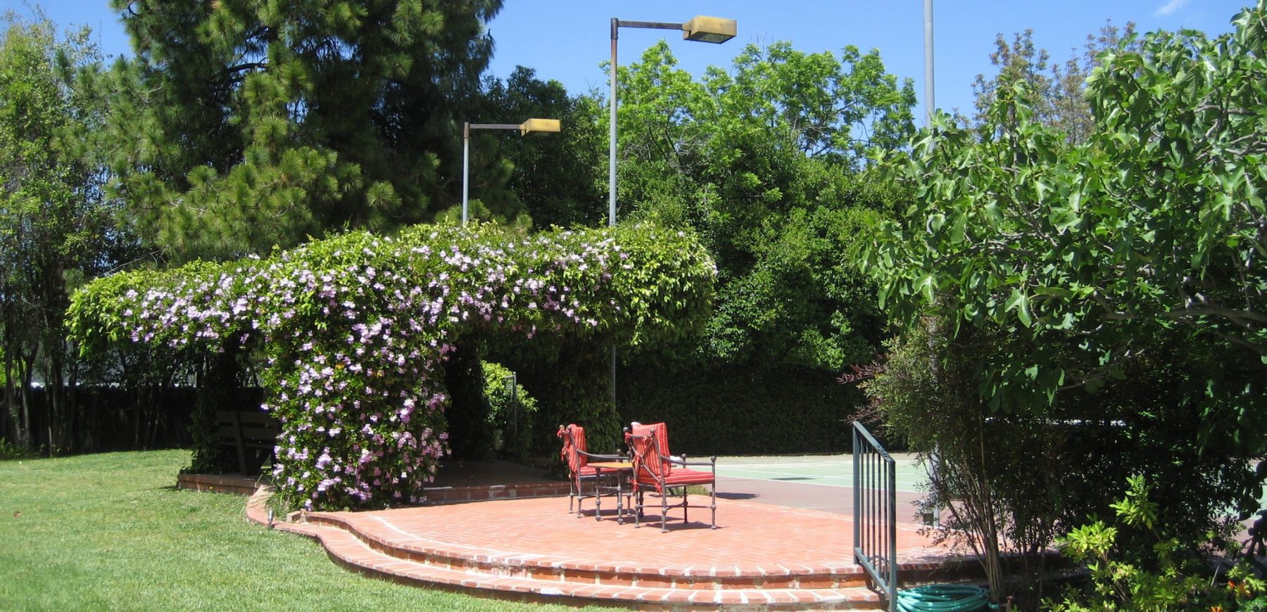 Arbor-in-bloom