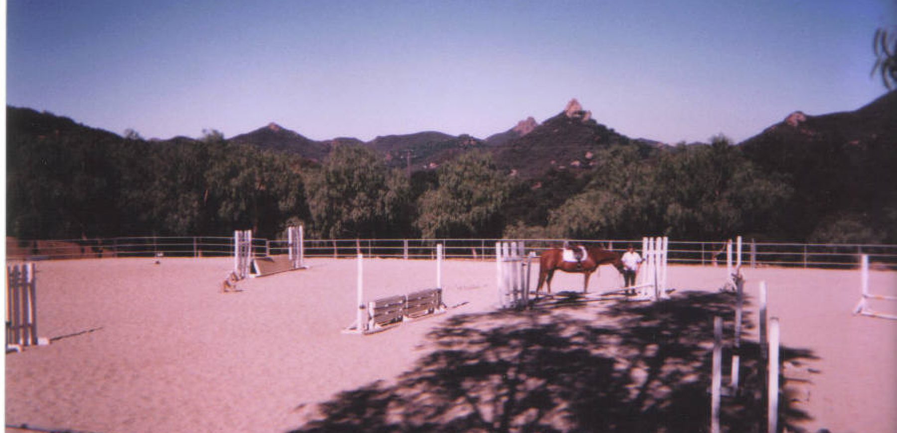 Arena21