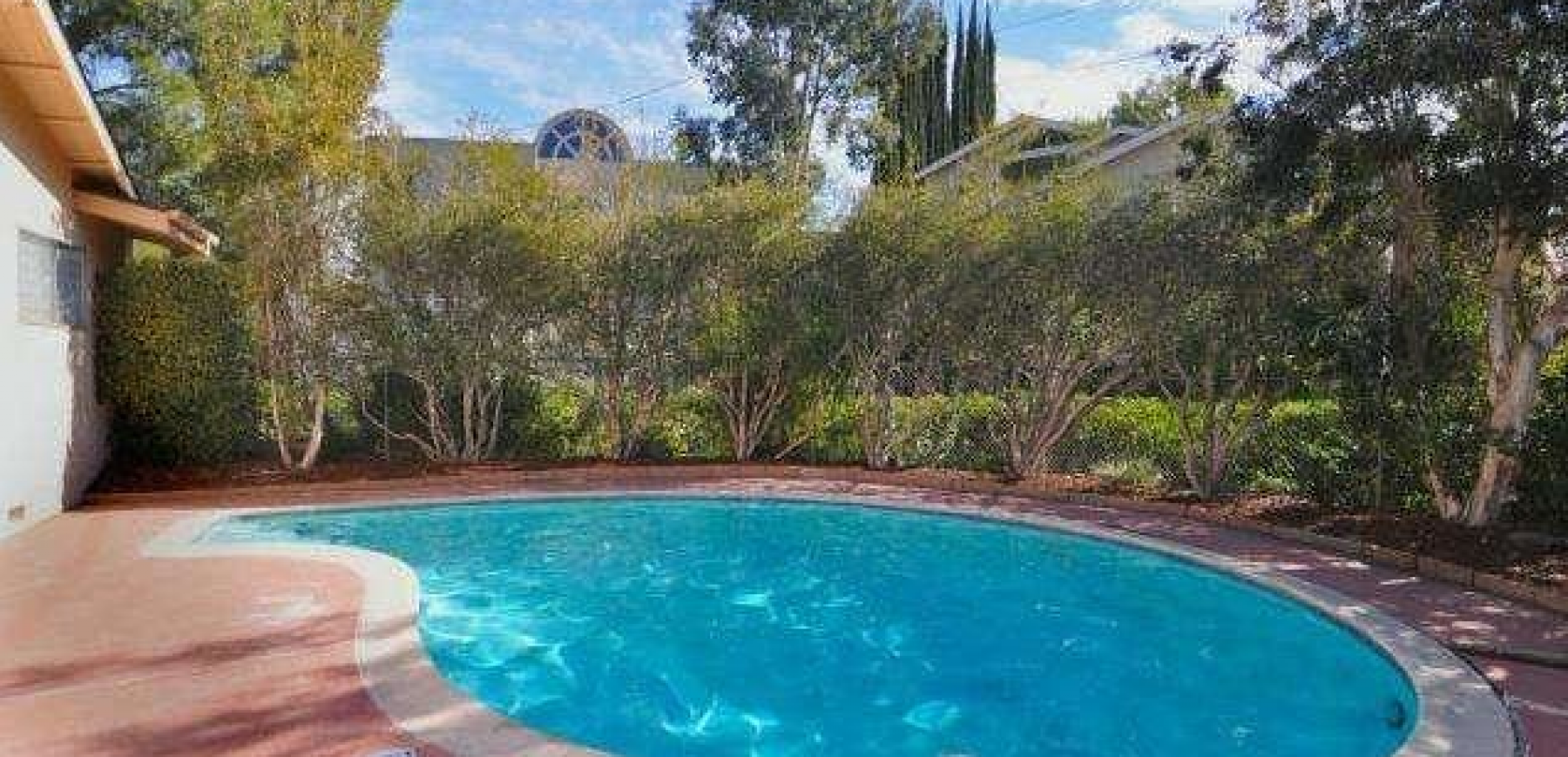 Backyard-1