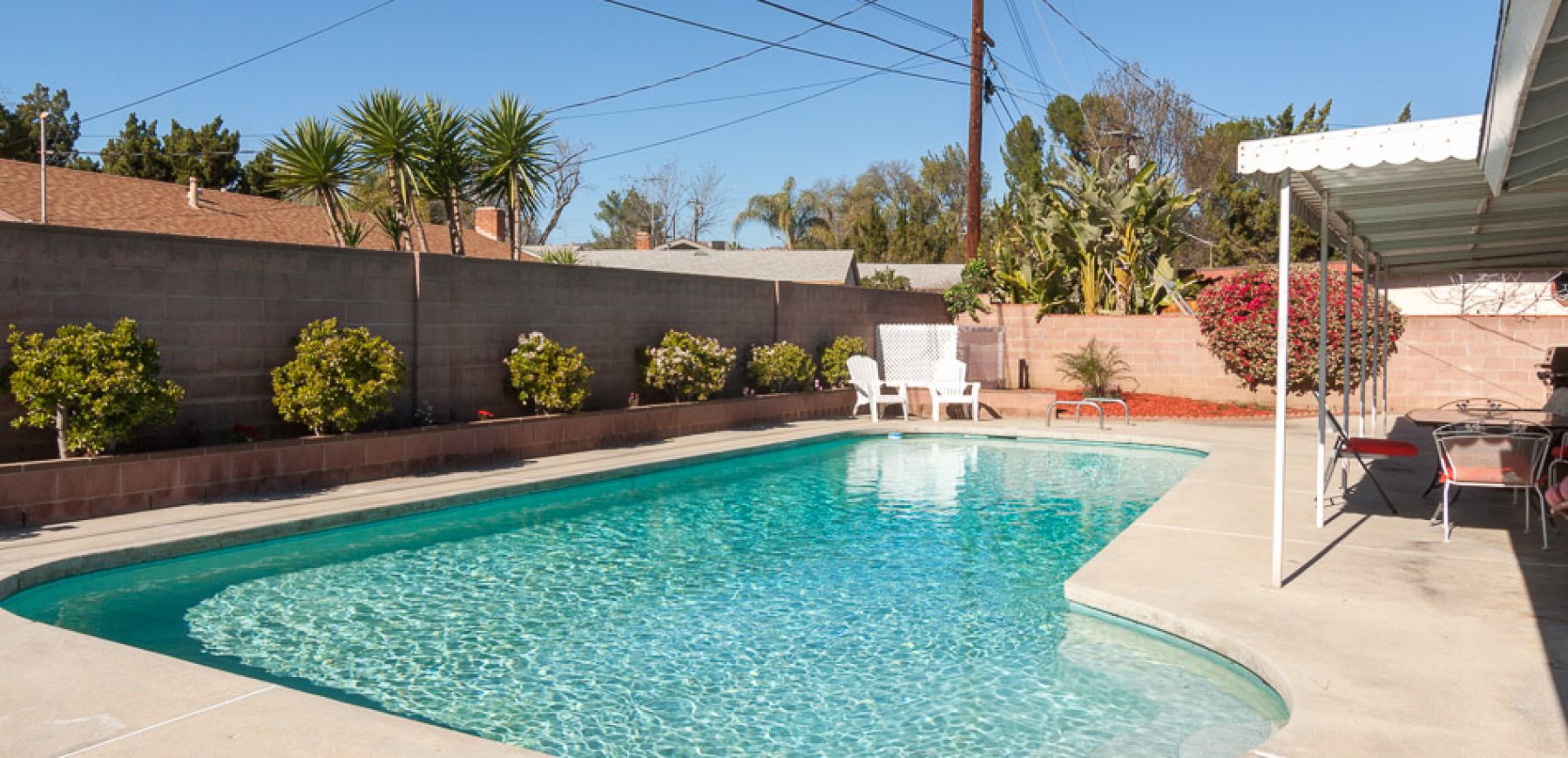 Backyard-6