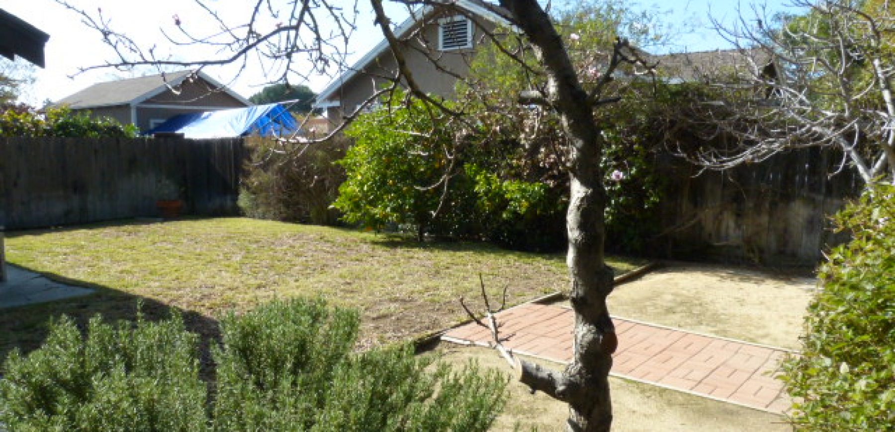 Backyard-Swenson