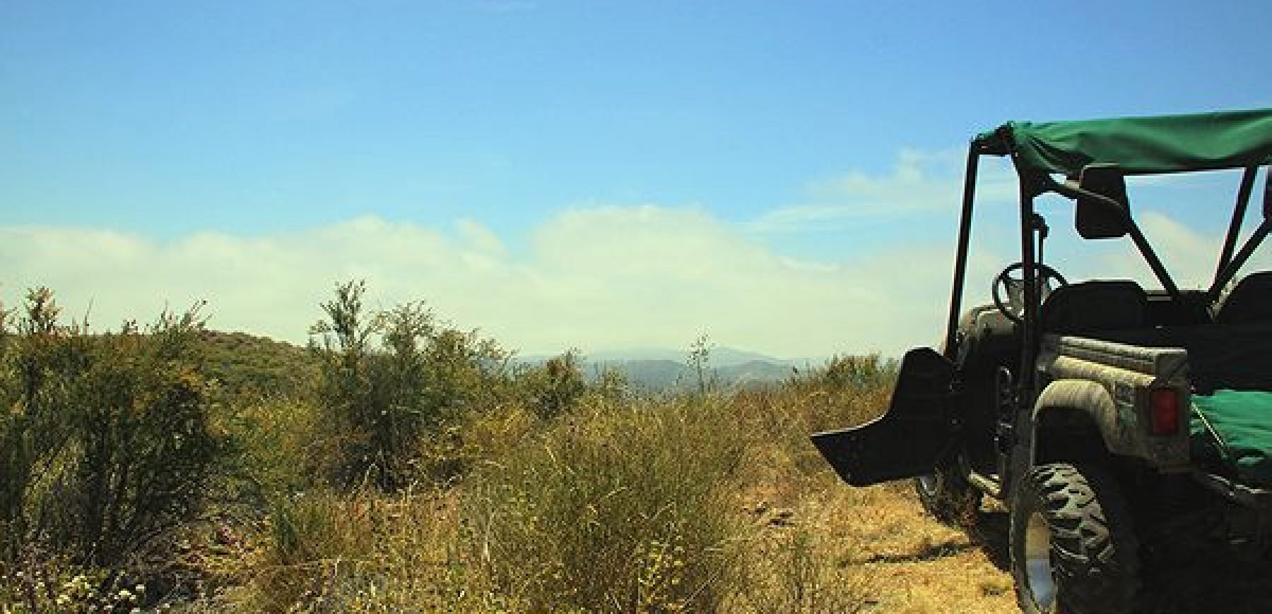 C-IMG_4554