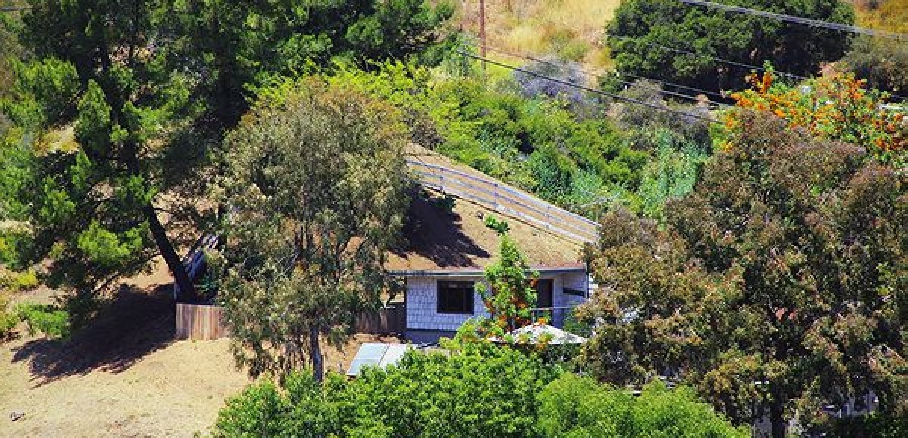C-IMG_4569