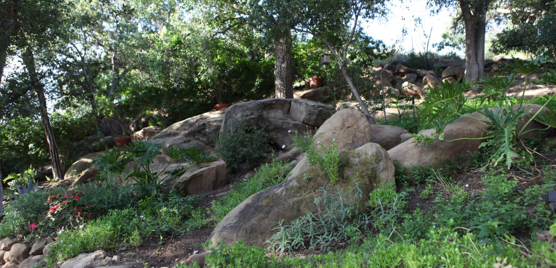 Entrance Hillside
