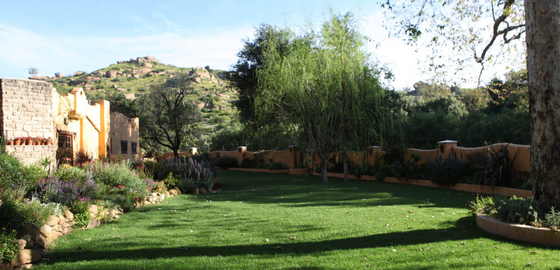 Front Lawn Sun