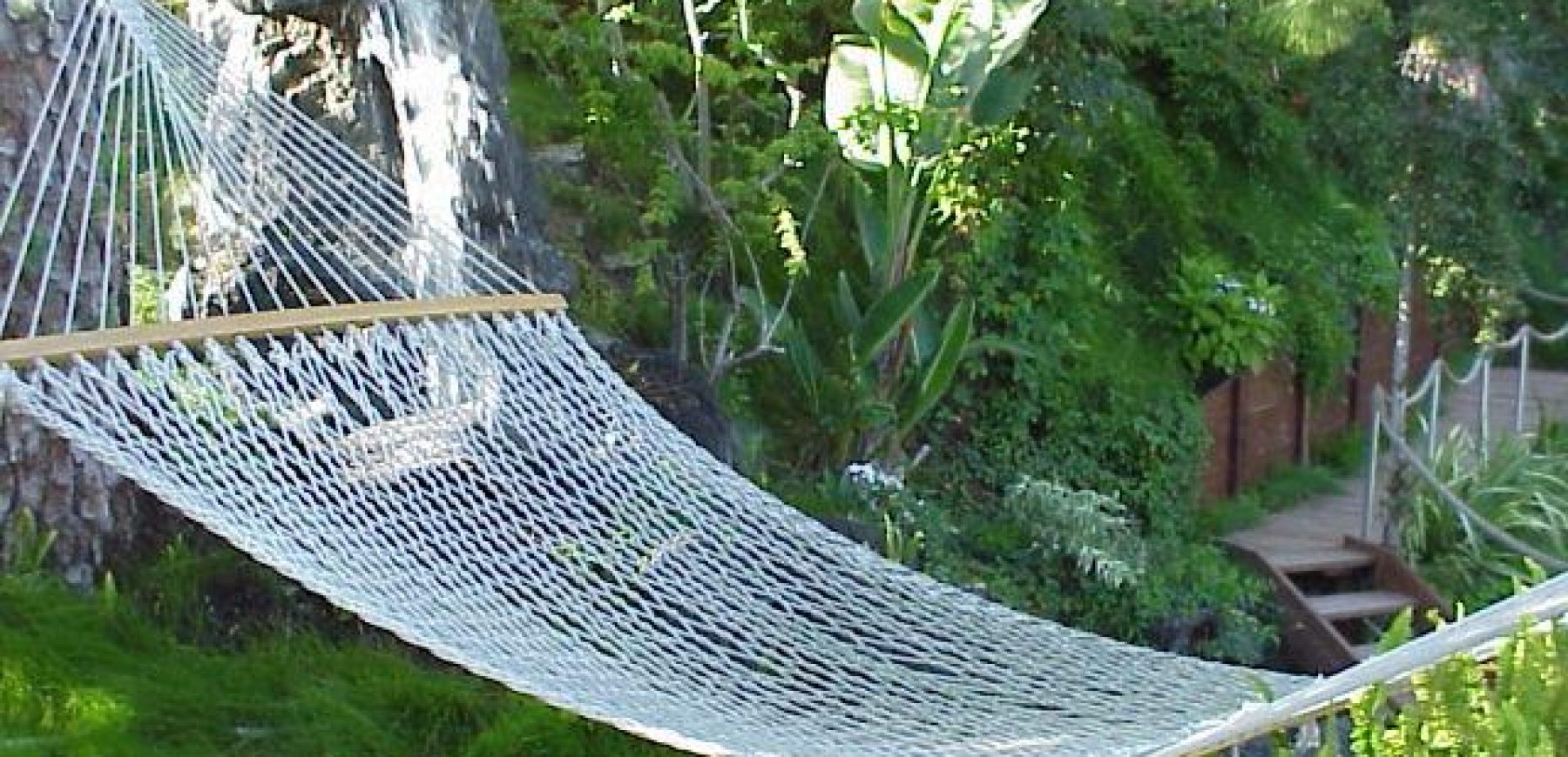 Hammock