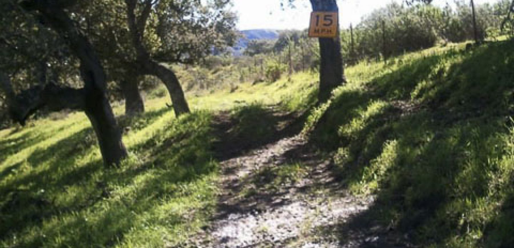 Hidden-Canyon-Ranch-28-of-46
