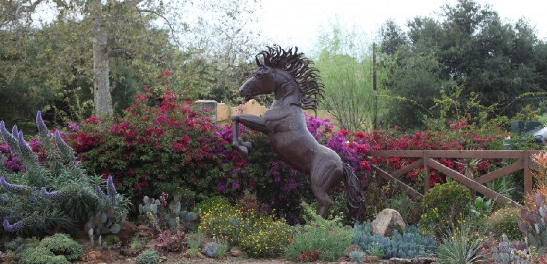 Horse-750x500