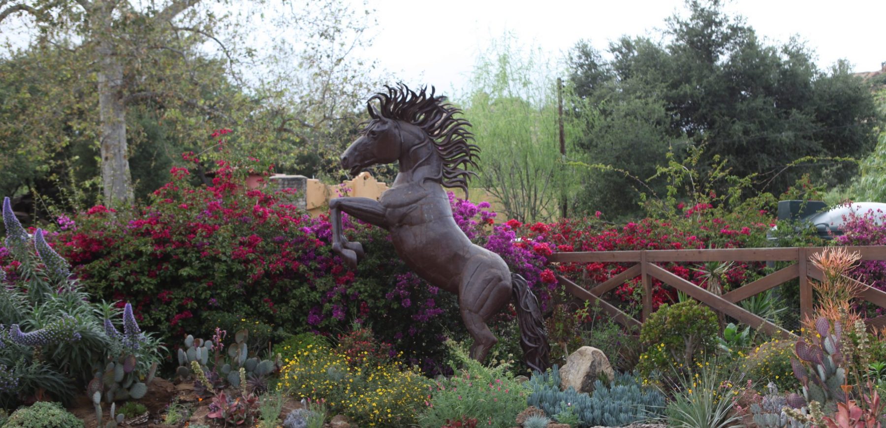 Horse2