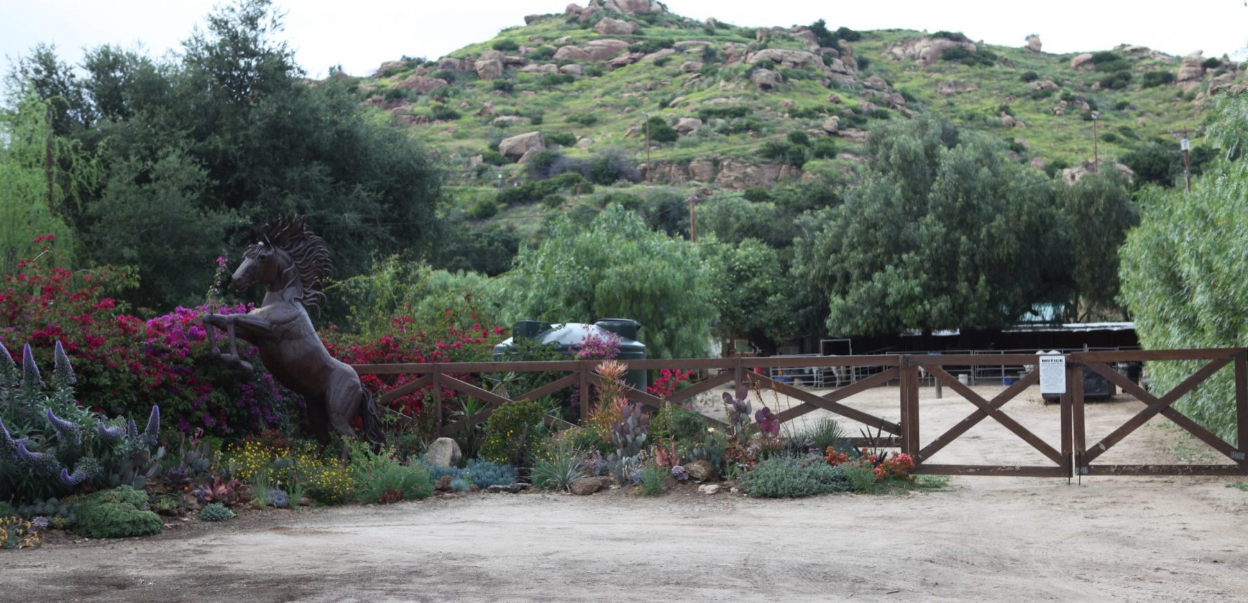 Horsestables