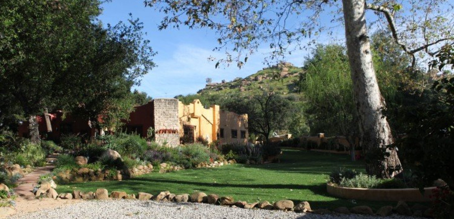 House_Lawn_Sun-750x500