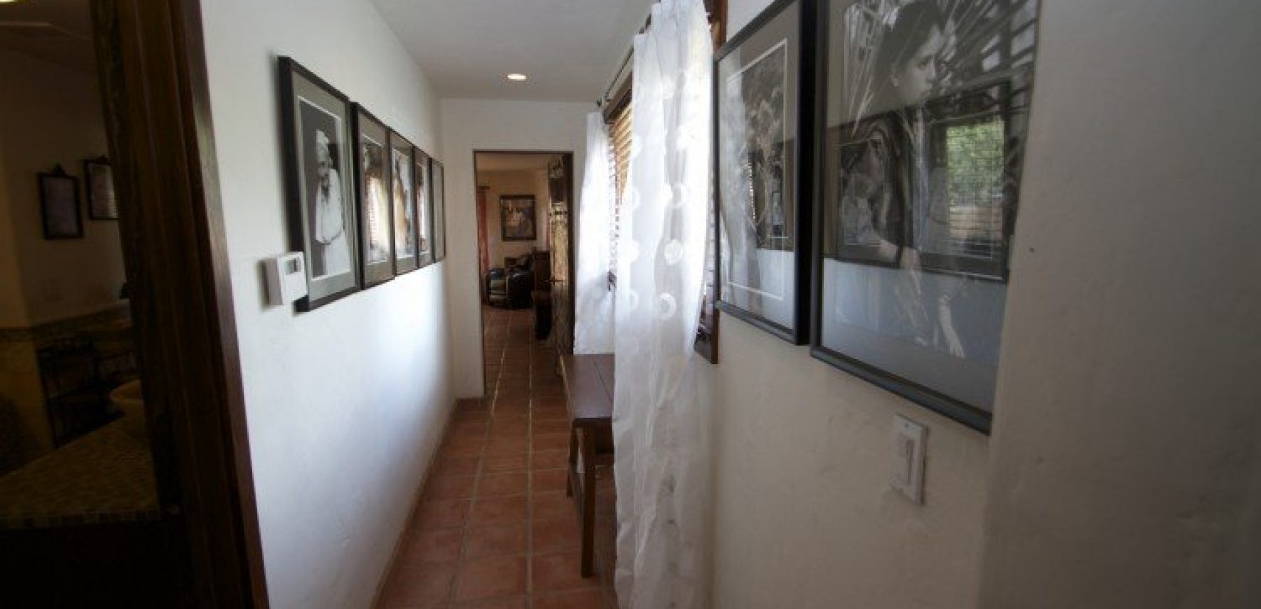 IMG_4469-1-750x500