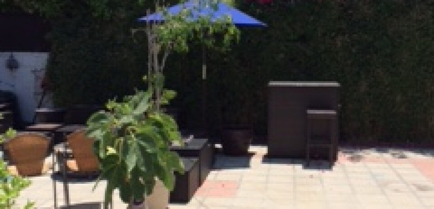 IMG_6131-240x320