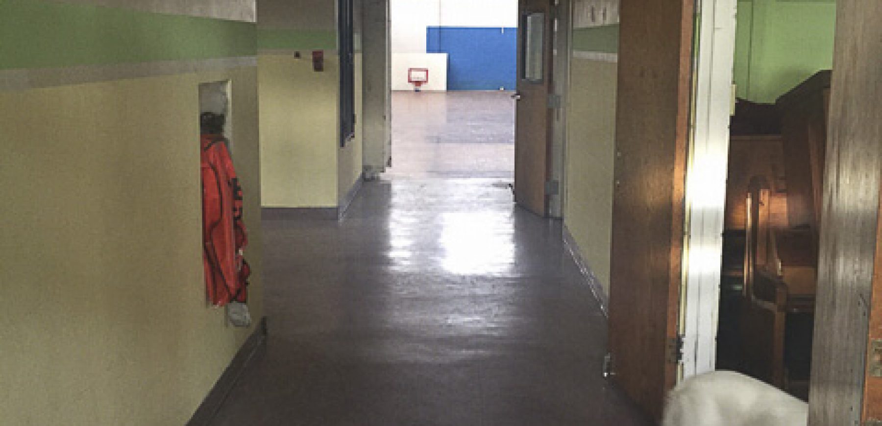 Image-1