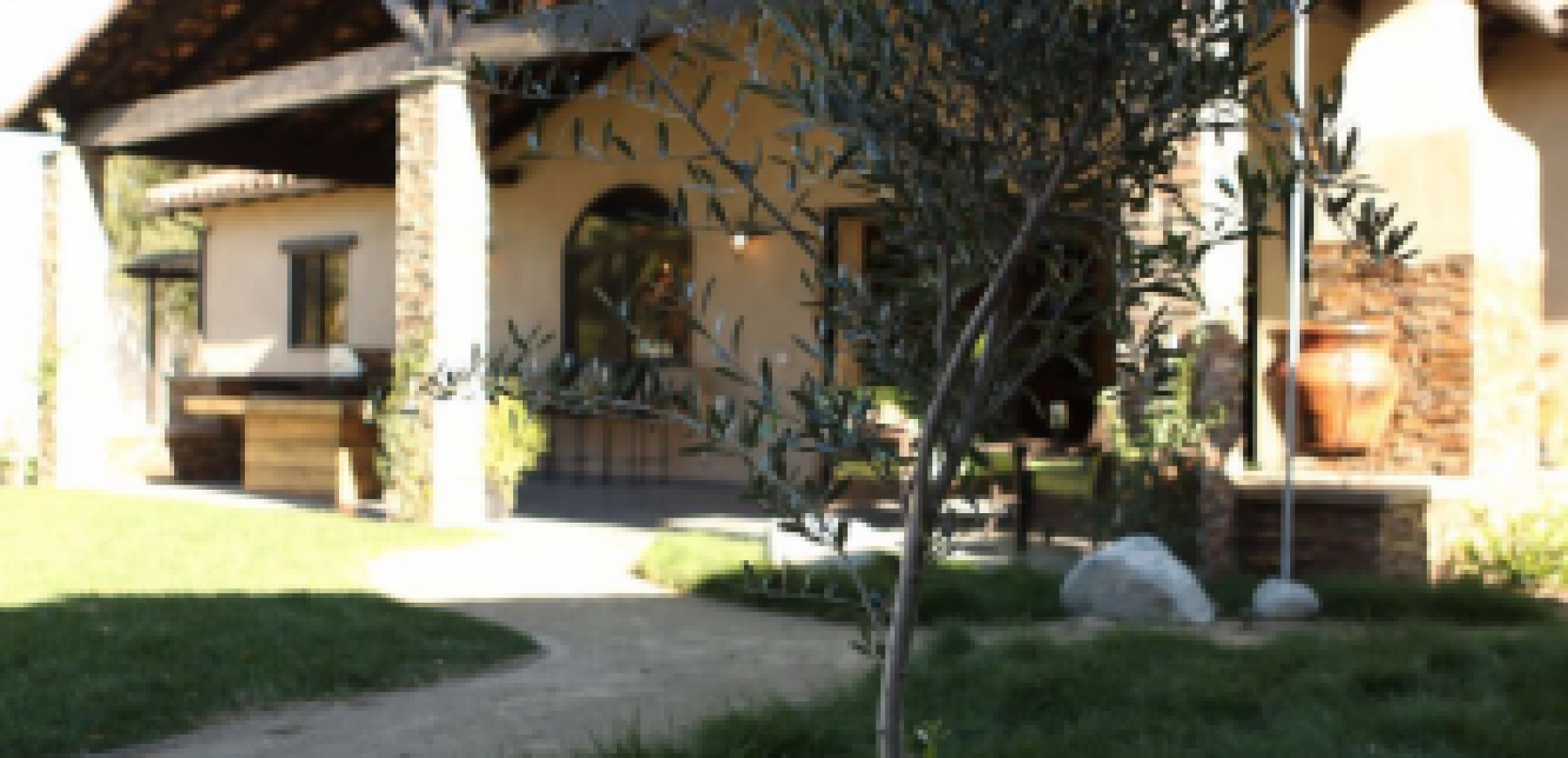 Image-110-333x500-1