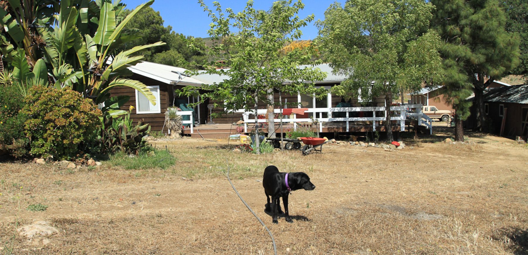 James_Ranch-1685
