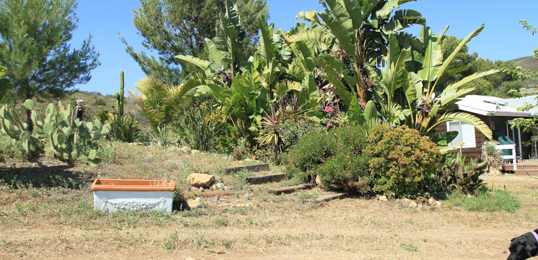 James_Ranch-1686
