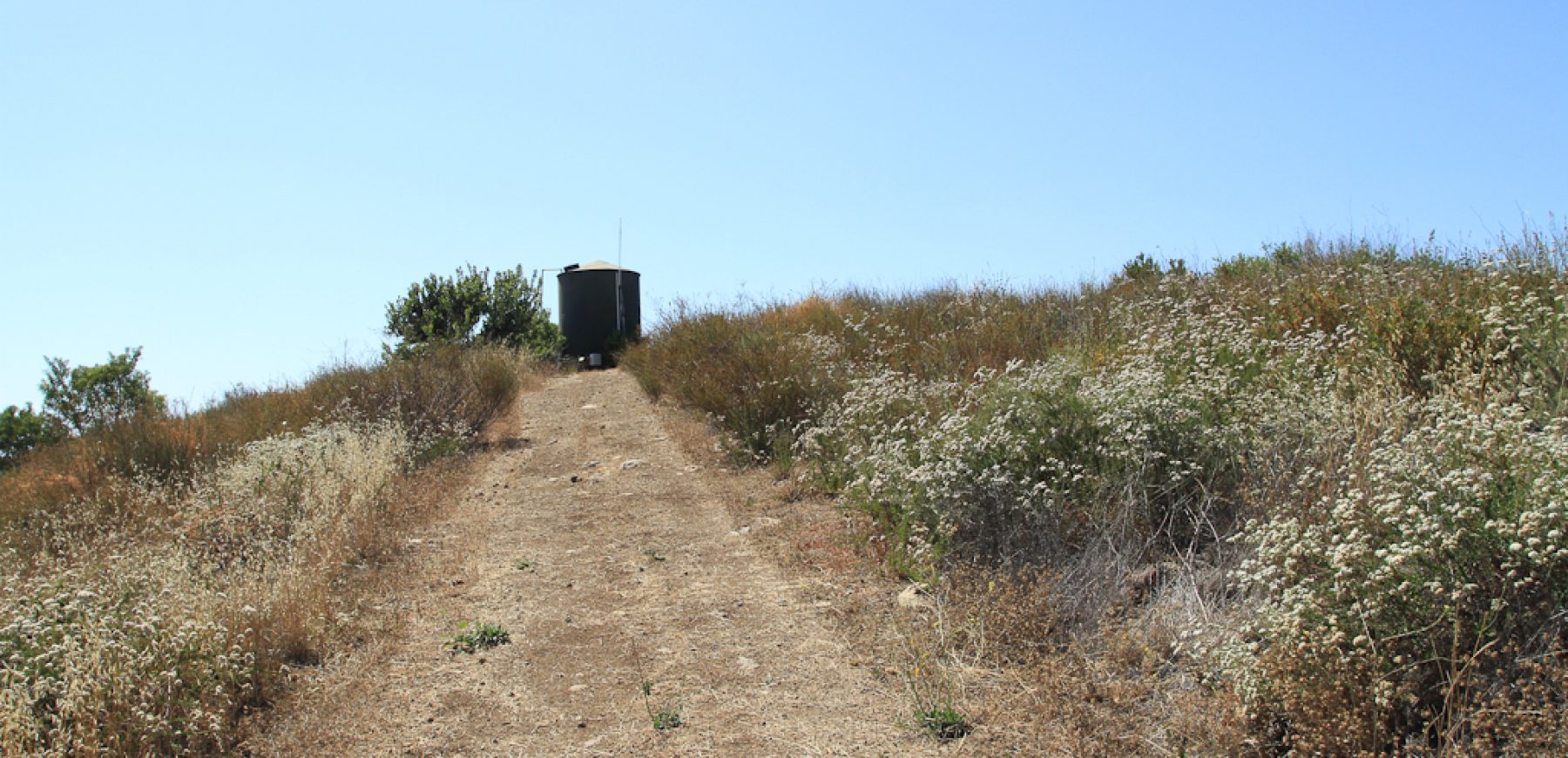 James_Ranch-1687