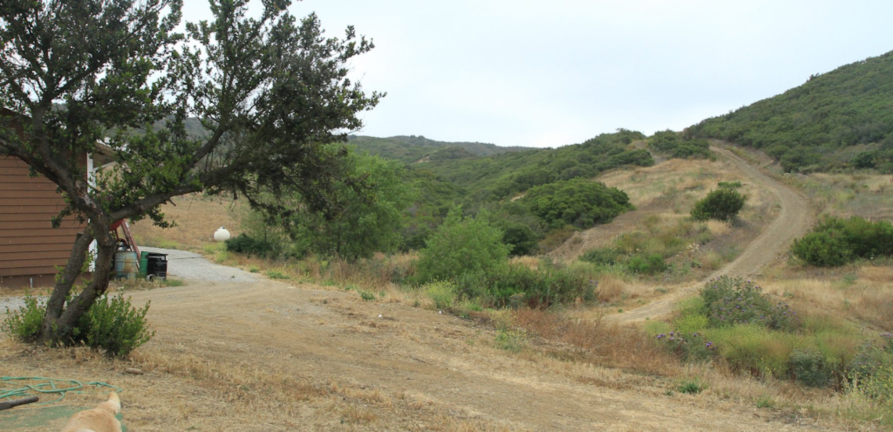James_Ranch-1825