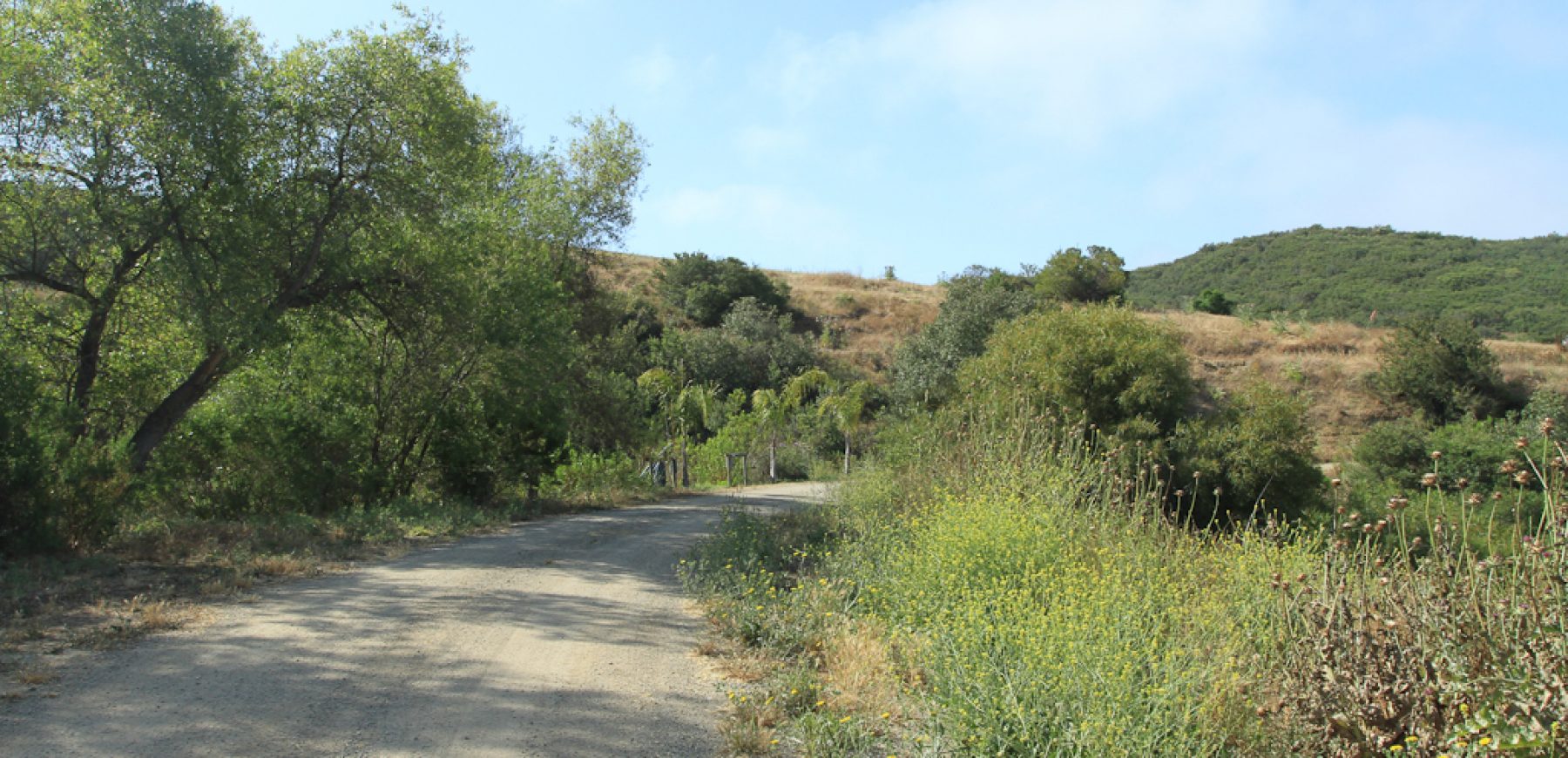 James_Ranch-2044