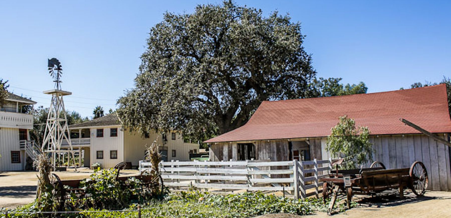 Leonis-Adobe-27-of-79