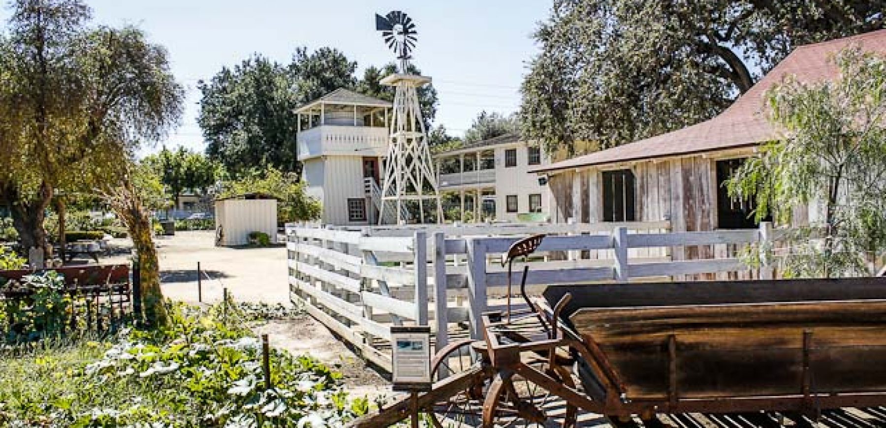 Leonis-Adobe-29-of-79