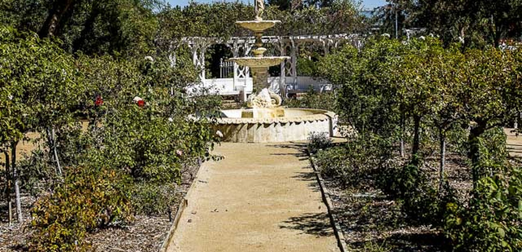 Leonis-Adobe-56-of-79
