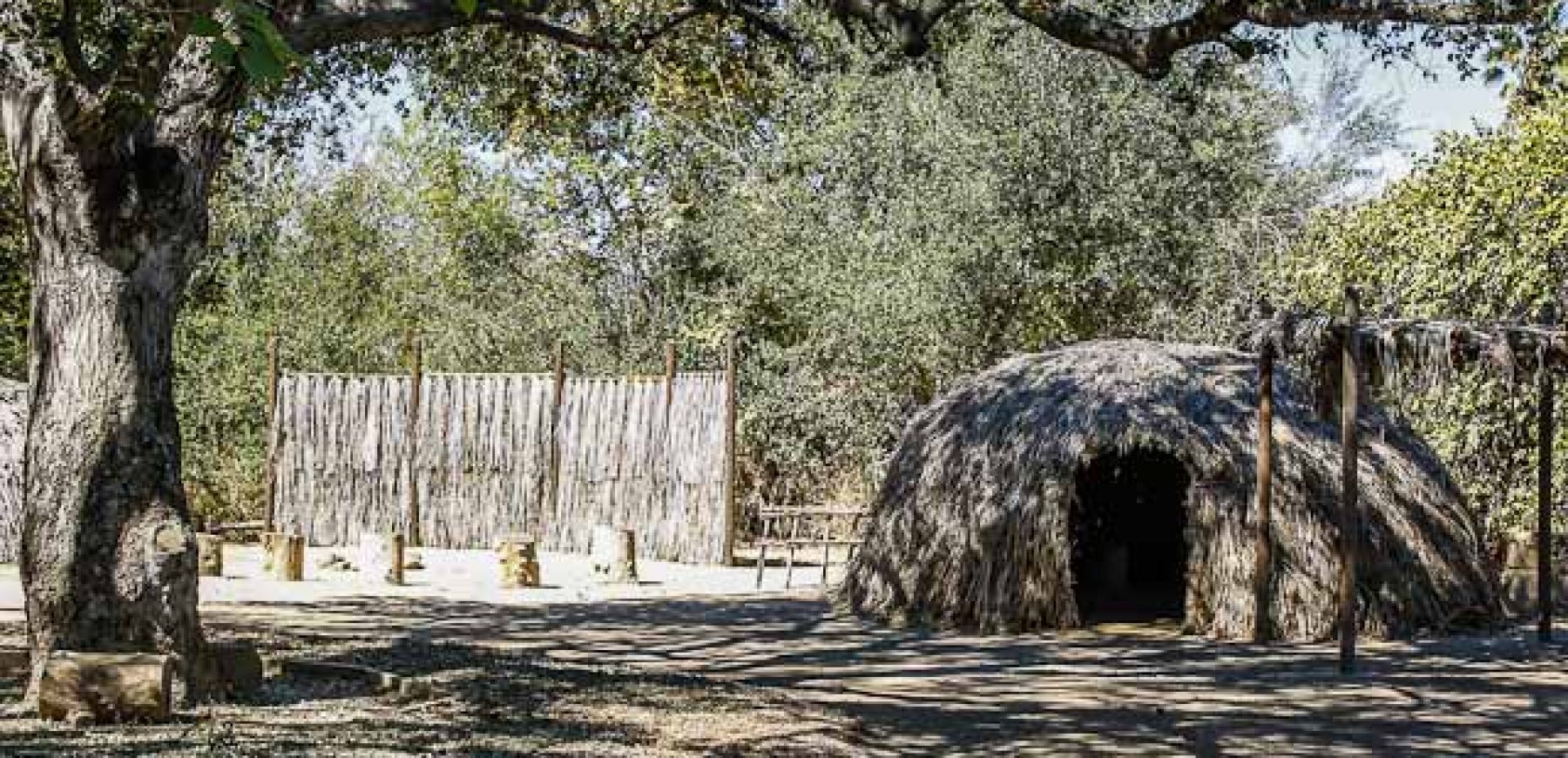 Leonis-Adobe-68-of-79
