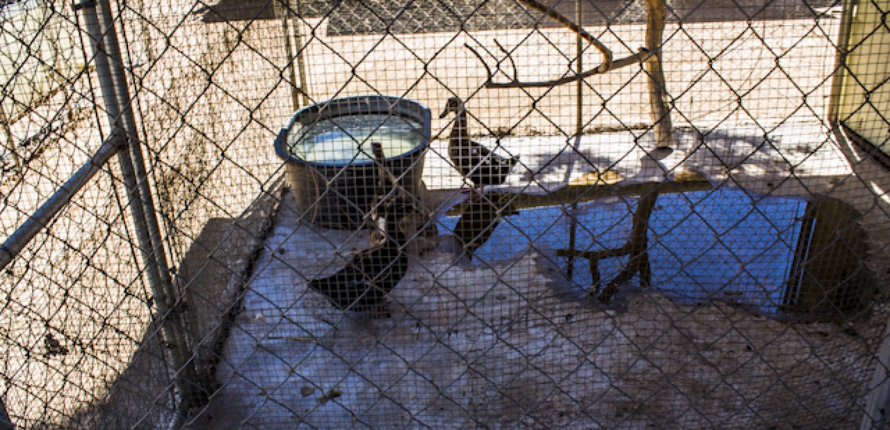 New-location-pics-154-of-243