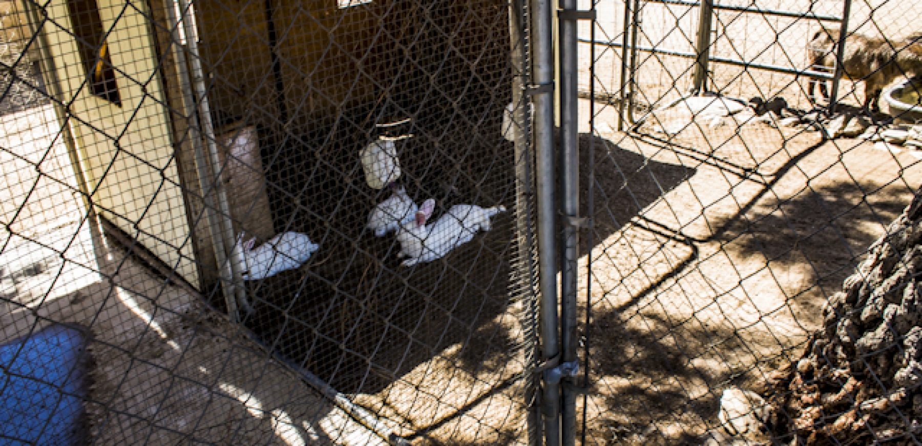 New-location-pics-155-of-243