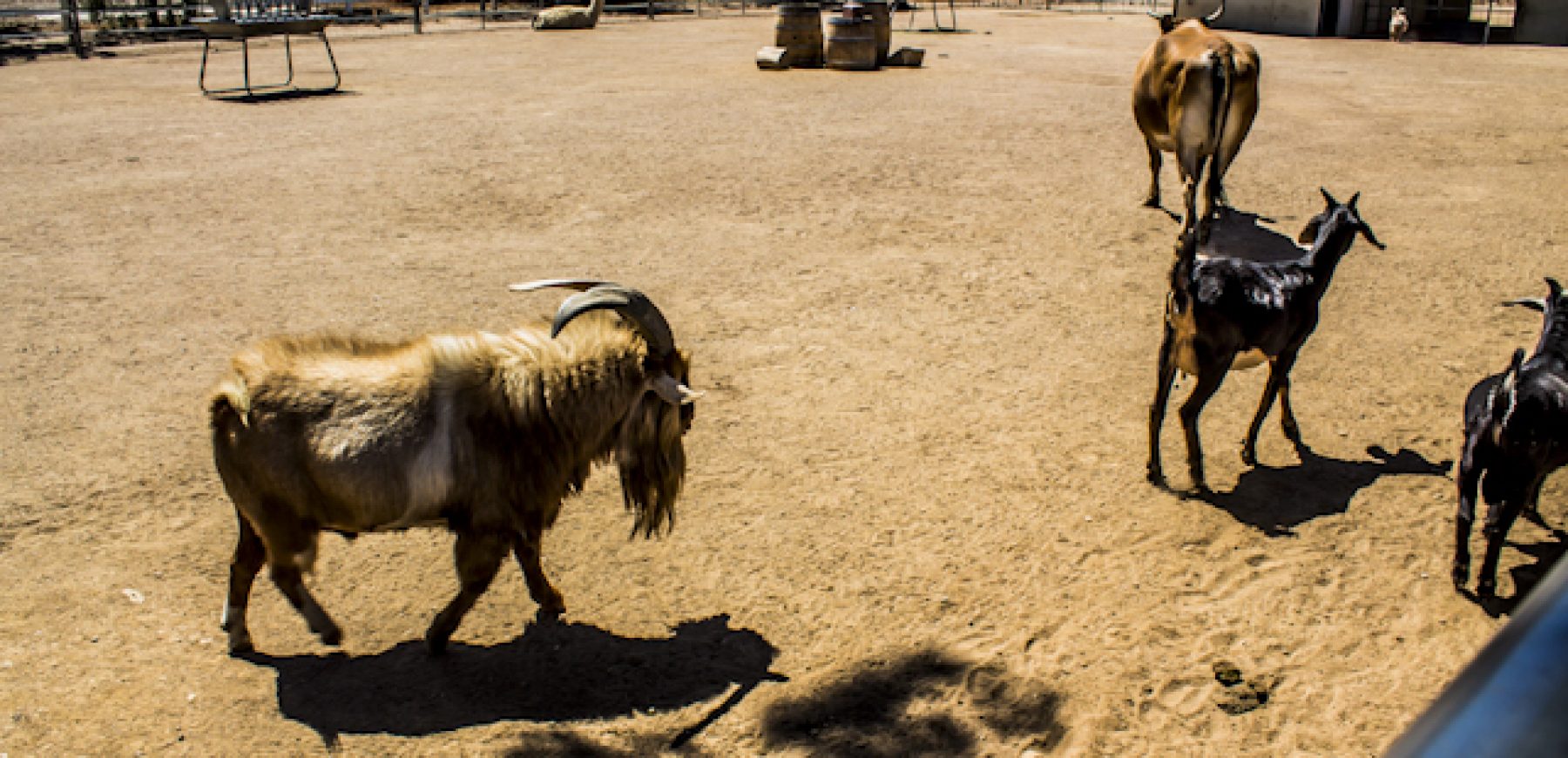 New-location-pics-158-of-243